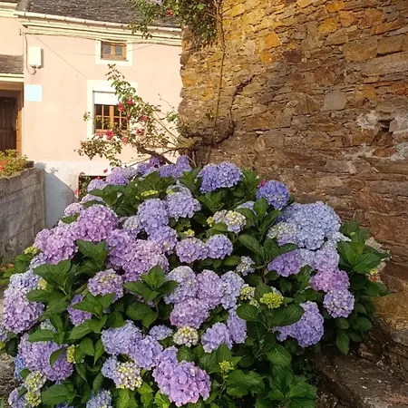 Casa de Férias Casa Rural 